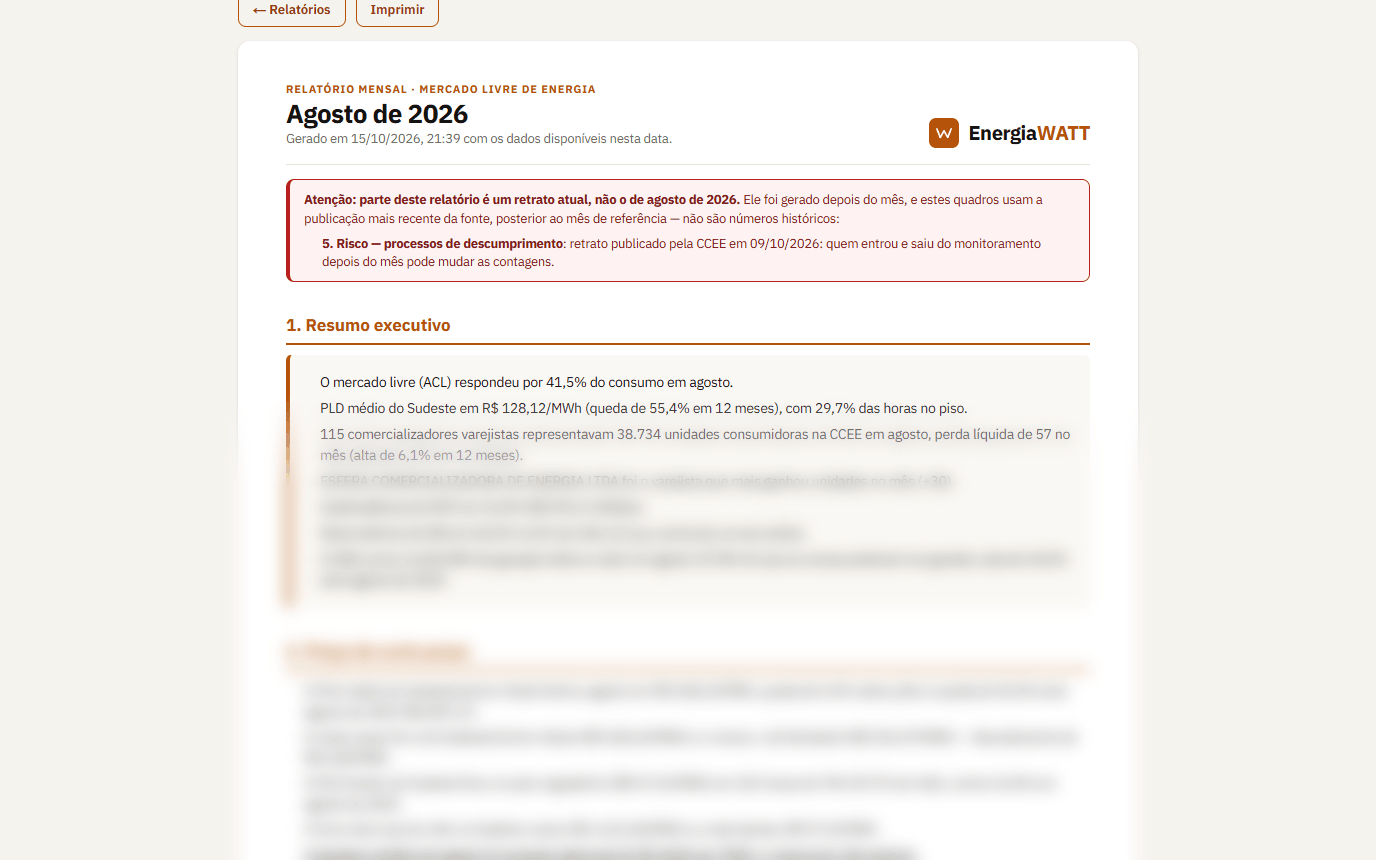 Uma edição do relatório mensal do mercado livre: os botões de PDF e impressão, o cabeçalho do mês, o aviso de retrato atual e o começo do resumo executivo; o resto, desfocado.