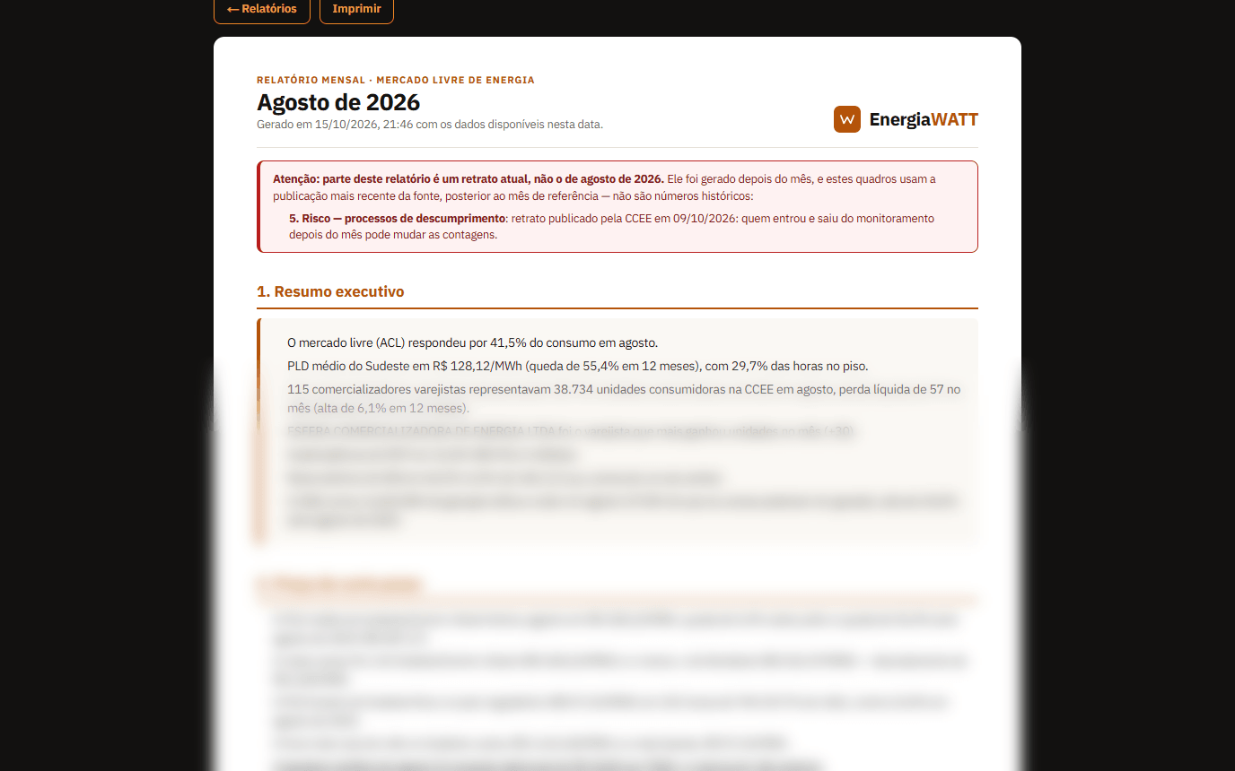 Uma edição do relatório mensal do mercado livre: os botões de PDF e impressão, o cabeçalho do mês, o aviso de retrato atual e o começo do resumo executivo; o resto, desfocado.